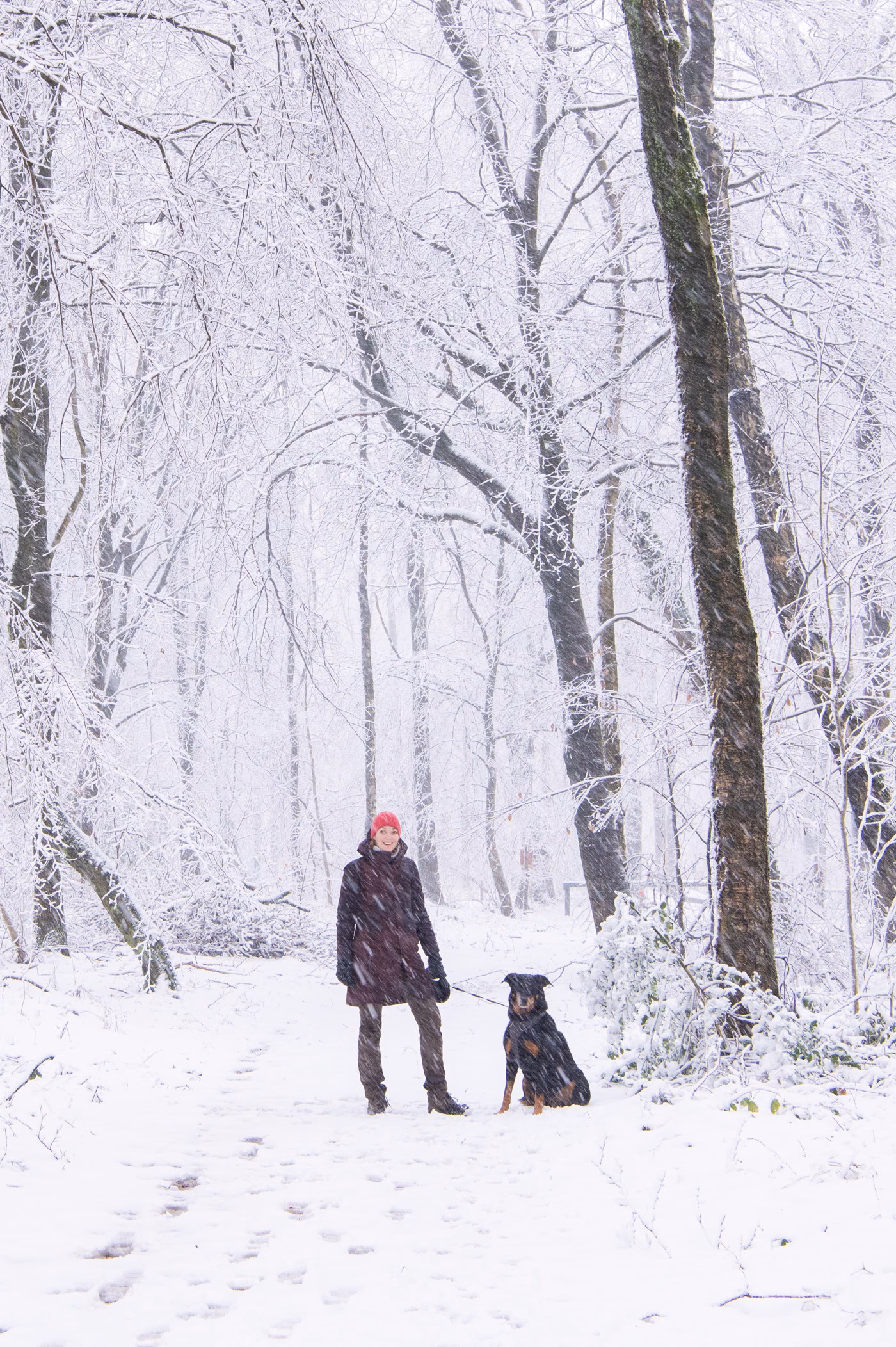 laura-20250109-vijlenerbos-sneeuw-8876-2 Masterclass Winterfotografie